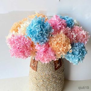 Dried Flowers Colorful Preserved Hydrangea Dried Flower Natural Floral Decorative Home Room Decor Wedding Decoration Small Anna Hydrangea R230725