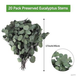 Torkade blommor 100g Riktigt torkade eukalyptusblad för duschfjäderdekor för aromaterapi bröllop hem juldekor luftrening r230725