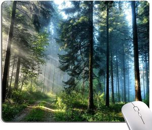 Natürliches Landschaftswald-Mauspad, individuelles Design, quadratisches, wasserdichtes Mauspad, rutschfeste Gummiunterseite, 24,1 x 20,1 x 0,3 cm