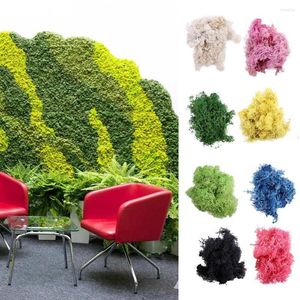 Fiori decorativi 20g Multicolor Eternal Moss Piante artificiali Divertente Mini paesaggio Decorazione del giardino Ornamenti creativi per la casa finta