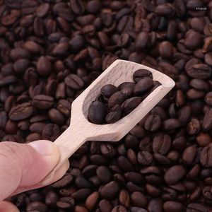 Spoons 6pcs Wooden Coffee Tea Scoops Mini Candy Bath Salt Spices Spoon Kitchen Tableware Flavors Specialty Plastic Dipper