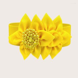 Belts Yellow Navy Blue Elastic Belt Women Korean Style Large Flower Decorative Fashionable All Match Wide Waist Seal Dress Accessories