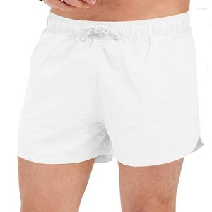 Herrpolos 2023 gränsöverskridande strandshorts plus storlek sommar avslappnad surfing