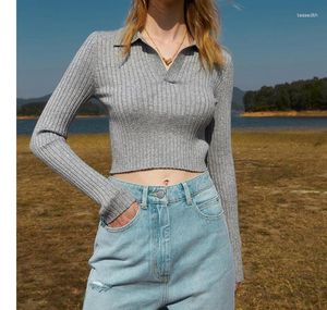 Women's Sweaters Grey Color Polo Neck Fashion Women Sweater Pullovers Full Sleeves Lady Crop Jumpers Topc Clothes