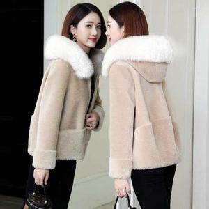 Women's Fur Autumn Winter 2023 Women Imitation Lamb Wool Jacket Thicke Warm Pocket Pimp Coat Female Cotton Padded Outerwear