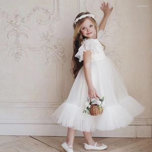 Girl Dresses Girls' Birthday And First Anniversary Party Small Flying Sleeves Fluffy Skirt Wedding Dress Ball Show Piano Evening