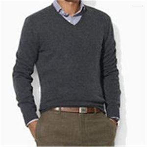 Men's Sweaters 2023 V-neck Cotton Knitted Sweater Good Quality Small Horse Jersey Autumn Winter