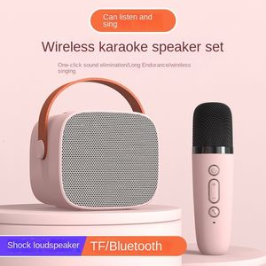 Microfones utomhus bärbara mini Bluetooth trådlös mikrofonkaraoke Audio Home Microphone Set 230725