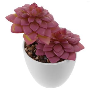 Flores decorativas Plantas da casa Suculentas Pequenas artificiais falsas para pátio bonsai em vasos mini potes de plástico