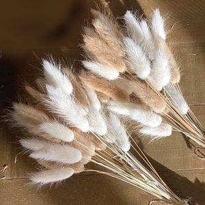 Torkade blommor 50st Mix Lagurus Bunny Tails Pampas Grass Decor Home Cake Rabbit Bouquet för Boho Table Decoration 230725