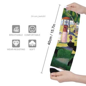 Men's Socks Georges Seurat customizes men's socks in Big Jack River Seine Park on Sunday Z230727