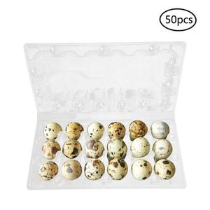 50pcs 12 15 18グリッドquail卵カートンストレージコンテナオーガナイザー使い捨てpvcストレージボックス透明卵ディスペンサーホルダーU3 C230O