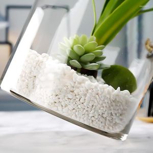 Vasos Vaso de flor transparente Acrílico Cilindro curto para centros de mesa Arranjos florais atraentes Decorações para casa