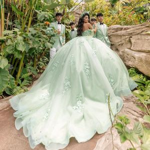Szałwia zielona seksowna ukochana quinceanera sukienka z aplikacji na ramię koronka tull vestidos de 15 anos suknia balowa