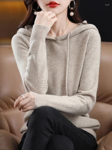 Women's Hoodies Aliselect Autumn Winter Cashmere Sweater Female Pullover Loose Pure Merino Wool Languid Lazy Knitting Base Hoodie