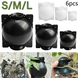 Kits 6pcs 5/8/12cm Plant Rooting Ball Grafting Rooting Growing Box Breeding Case Plant Root Growing Box Garden Propagation Breeding