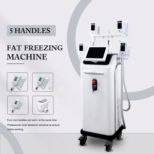 Cryolipolysis Fat Freeze Machine Cellulite Reduction Vakuum Viktminskning Slimming Dubbelhaka Borttagning Fettfrysning Kroppsformningsmaskin