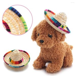 Abbigliamento per cani 1Pc Kleurrijke Verstelbare Pet Strohoed Kat Kostuum Mexicaanse Stro Cap Sombrero Met Rubberen Band Gesp Ornamenten Dierbenodigdh