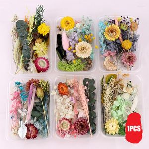 Dekoratif çiçekler ücretsiz hediye serin aydınlık zodyak bileklik DIY reçine mum po po 1 kutu kuru karışık