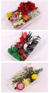 Decorative Flowers Free Gift Beautiful Lapis Lazuli Bracelet If You Buy 1 Box Of Dried Mixed For DIY Resin Candle Picture Po