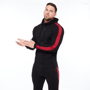 Herrenjacken Frühling und Herbst Mode Baumwolle Reißverschluss Hoodie Colorblock Einfarbig Freizeitjacke Jogger Fitness Sportbekleidung