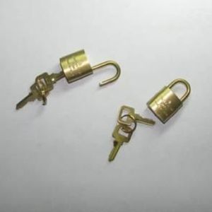 Lock Set with 1 Lock, 2 Keys, Snap Hook, Padlock, and Strap
