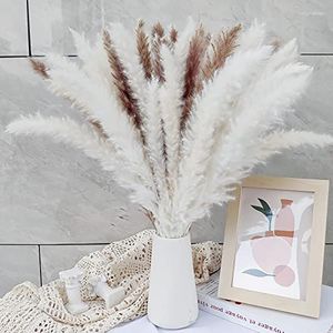 Kwiaty dekoracyjne 50pc Pampas Dekoracja trawy naturalna suszona roślina beżowa biała puszysta pampa DIY bukiet aranżacje ślubne boho dom