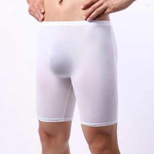 Cuecas Boxer Shorts Masculino Sexy Cuecas Boxer Longas Calções Esportivos Sem Costura Macio Bojo Bolsa Cuecas Calcinhas