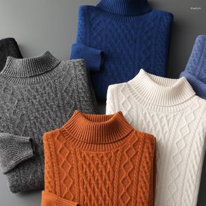 Men's Sweaters Pullover Wool Cashmere Sweater High Collar Casual Knitted Long Sleeve Pure Selling Product