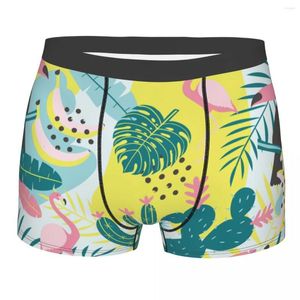 Cueca Tropic Cactus Algodão Cueca Boxer Cueca Homem Ventilar