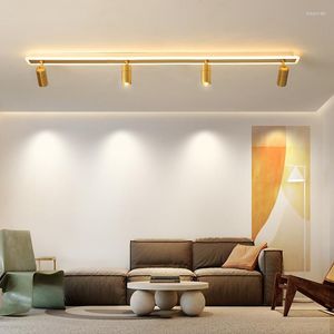 Plafoniere Lampada da binario a led moderna Armadi per camera da letto Faretto da cucina Soggiorno Sfondo Corridoio Foyer Illuminazione espositiva