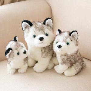 Cute imitation dog doll Stuffed toy small dog Erha doll small doll girl birthday gift pillow