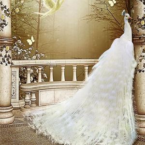 Wallpapers Decorative Wallpaper 3D Background Wall Paintings Of Noble White Peacock