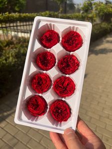 装飾的な花の花輪マルチサイズ保存チョコレートオースティンリアルローズヘッド永遠の新鮮な花屋DIY素材ホームオフィス装飾ガールフレンドギフト230731