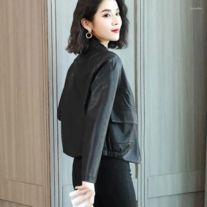 Женские куртки не затягивают кожаные куртки 2023 Весна и осенняя корейская свободная бейсбольная форма повседневной женщины