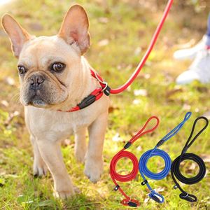 Hundhalsar Nylon PET LEASH Lydnad återkallar träning nypkrage Anti-kvävande justerbar p-kedje slip leder för hundar