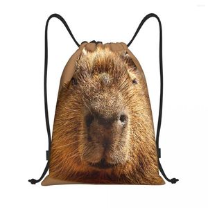 Сумки для покупок Custom Capybara Doozing in the Sunshine Print