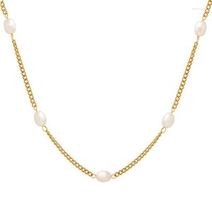 Girocollo semplice in acciaio inossidabile con perle d'acqua dolce perline collane con ciondoli per donna PVD placcato oro 18 carati impermeabile regalo alla moda