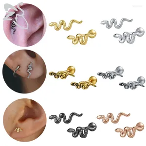 Stud Küpe ZS 2pcs/Lot 16G Punk Yılan Çelik Küpe Erkekler Siyah Siver Renk Kabuklu Tragus Kartilag Piercing