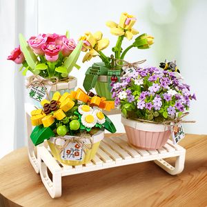 Блоки мини -бонсай цветы