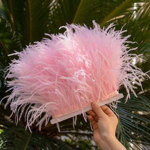 Meter Ostrich Feathers Trims 8-10 CM Plumes Ribbon Seage for DIY Wedding Dress Decoration Crafts Accessories 1 Meters