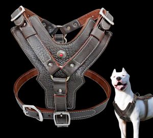 Äkta läderhundsele för stora hundar Pet Training Vest med snabbt kontrollhandtag justerbart för Labrador Pitbull K95957736