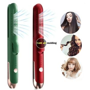 Curling Irons 2 In 1 Hair Curler Straightener PTC Heater Hair Flat Iron LED Light Cold Wind Curling Irons Salon Equipment Styler 231101