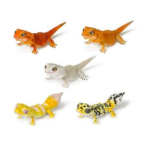 Action Toy Figures Biografiska Atlas Figur Illustrated Handbook Bearded Dragon Lizard House Lizard Joint Mobility Simulated Animal Gachapon Toy 231031