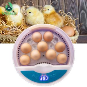 Incubadoras 1 Pc Ovos Incubadora Automática Digital Chocadeira Aves Ferramenta Máquina de Incubação de Frango Um botão Pato Home Egg Breeder Aquecimento 231101