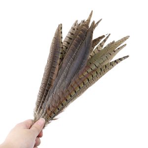 Wholesale Natural Ringneck Tail 10-75CM 4-30" for Crafts Wedding Decorations Pheasant Feathers Carnival Plumas