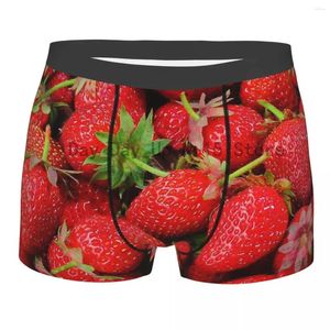 Cuecas Red Berries Breathbale Calcinha Homem Cueca Confortável Shorts Boxer Briefs