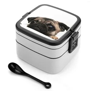 Servis orolig mops dubbel lager bento box lunch sallad hund valp söt söt kawaii ansikts ögon öron mörkbrun