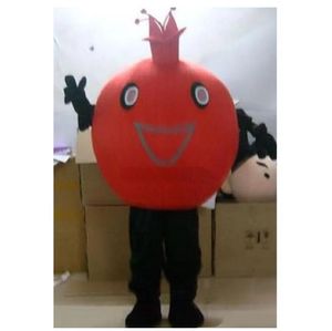 Costume mascotte melograno di Halloween Personalizzazione di alta qualità Cartone animato Peluche Personaggio a tema Anime Carnevale di Natale Adulti Festa in maschera