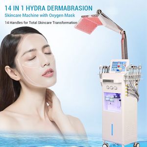 Professional 14 in 1 Skin Care Machine Oxygen Aqua Jet Skin Smoothing Face Hydrating Pore Cleaning Cold Hammer Anti-allergy Standing Machine with Oxygen Mask